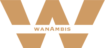 wanAmbis